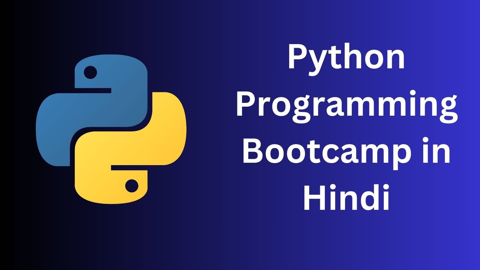 Python Programming Bootcamp in Hindi