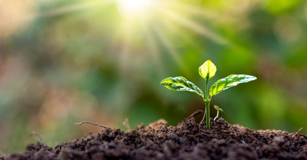 What is Living – NEET Biology