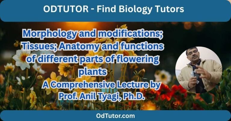 Morphology and modifications different parts of flowering plants