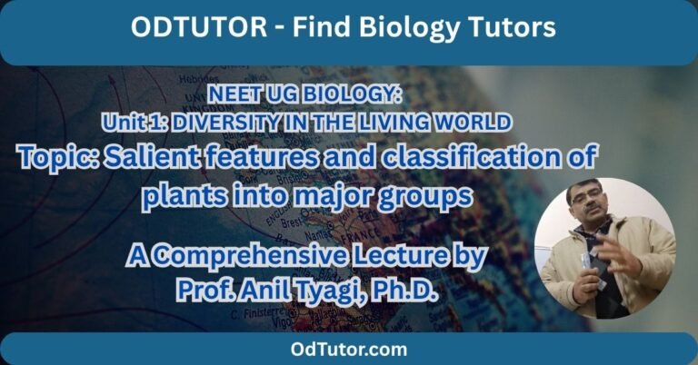 NEET UG Salient features and classification of plants into major groups